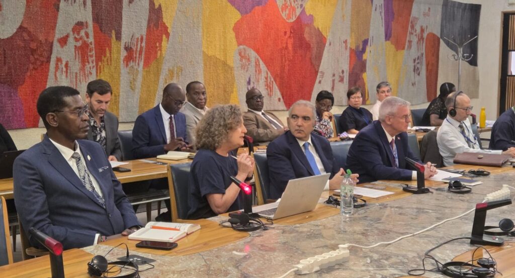 Campus Africa Small Action Group I meeting (3 July 2025). Prof. Sharon Fonn, Co-Director, Consortium for Advanced Research Training in Africa (CARTA), presents on Doctoral Training and Research in Africa.